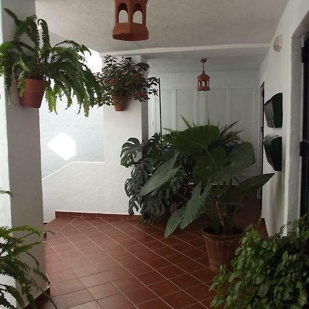 Apartamento En Conil Conil De La Frontera Ngoại thất bức ảnh